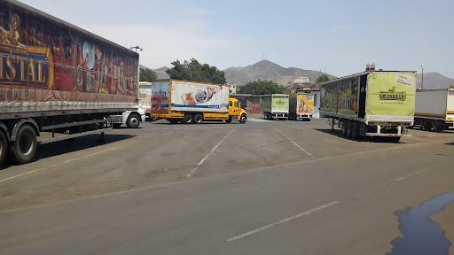 Transportes 77 S. A.