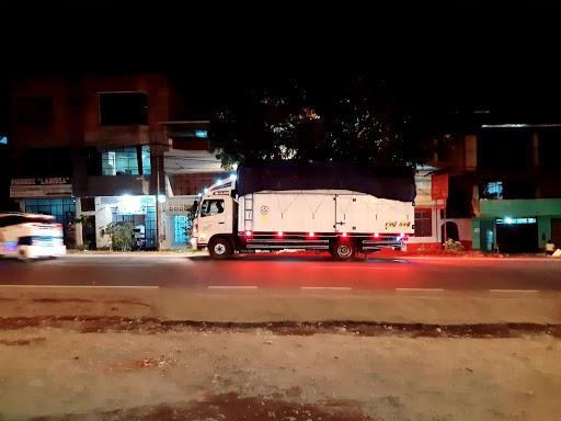 Transportes 