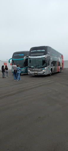 CIVA | Transporte y Turismo Talara Piura