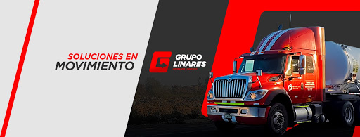 Grupo Linares S.A.