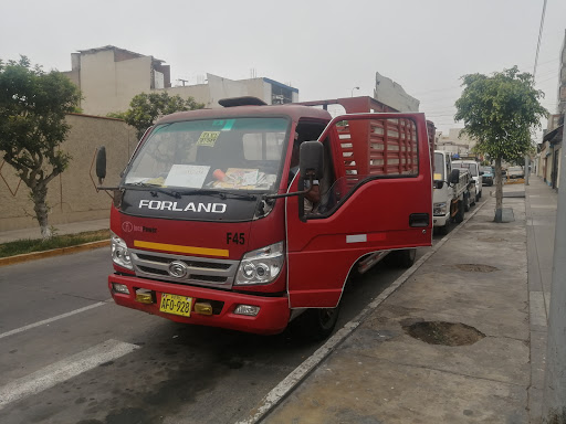 Transportes Timoran(Serv.carga Y Mudanzas A Nivel Nac.)