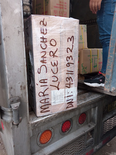 Horizonte Cargo Express S. A. C.