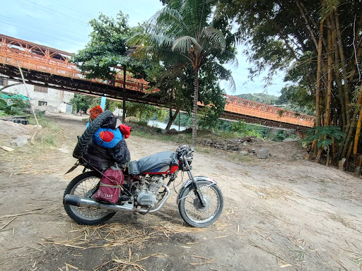 Perene