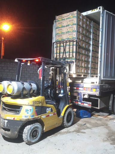 Servicios de montacarga chanchamayo