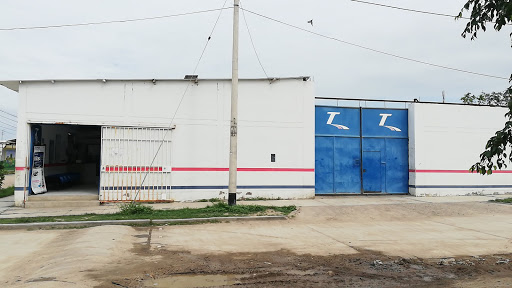 Empresa de Transporte Turístico TEPSA